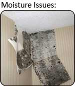 Moisture Assessment