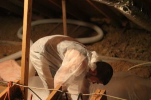 Louis prepping for attic insulation installation