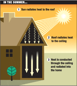 Summer-Heating-Transfer