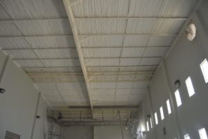 Mold resistant insulation for Louisiana businesses