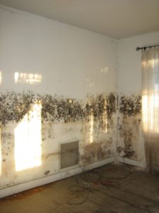 Identifying mold problems in your home.