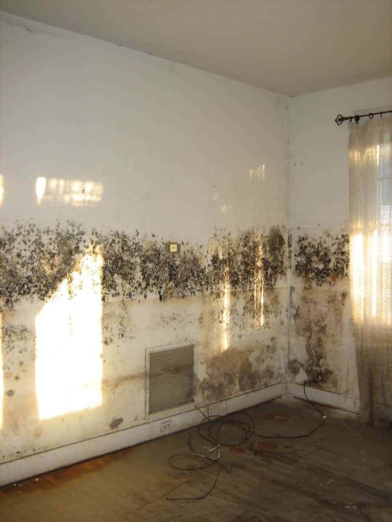 Sunlight Contractors Identifying mold problems in your home prevent mold with spray foam insulation