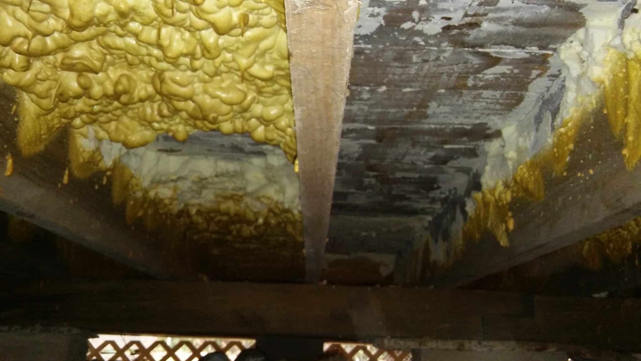 Pitfalls of spray foam insulation gone wrong Sunlight Contractors