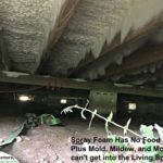 Crawl space insulation fights mold