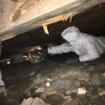 Remediation of Mold by Sunlight Contractors