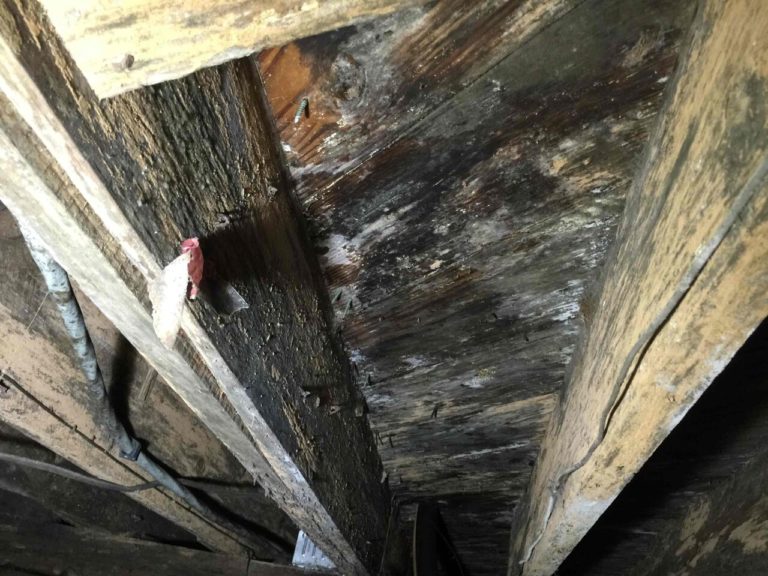 Hardwood Floor Damage From Southern Humidity Sunlight Contractors