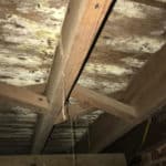 Mold formed under joists