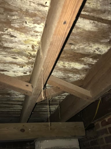 Mold formed under joists