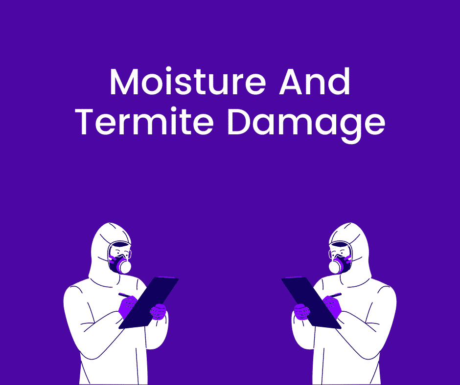 moisture and termite damage