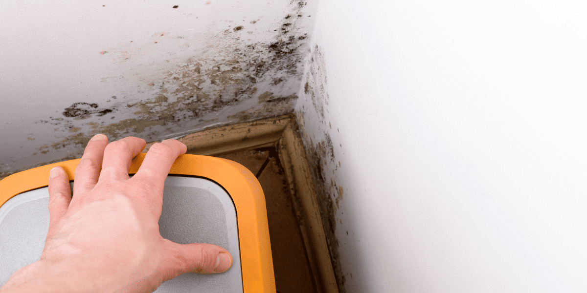 A person moving an object from a corner of their home to discover mold
