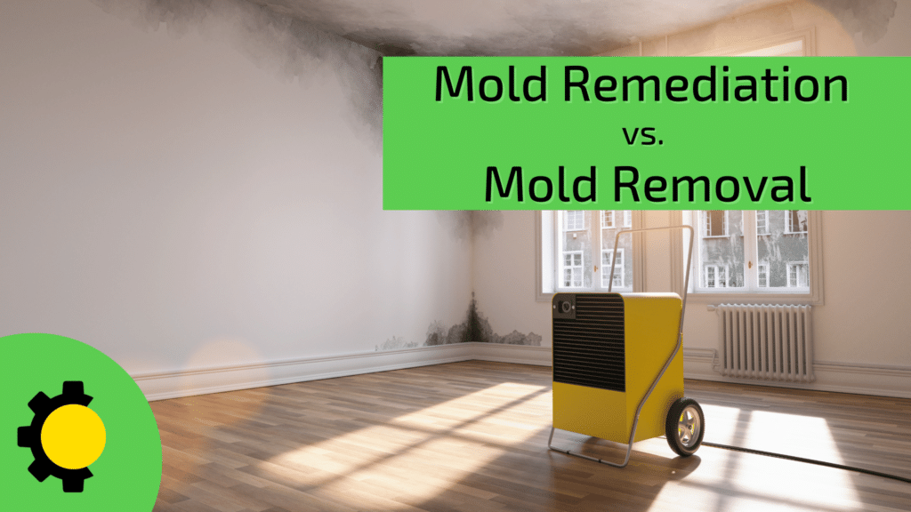 An empty apartment being treated for mold