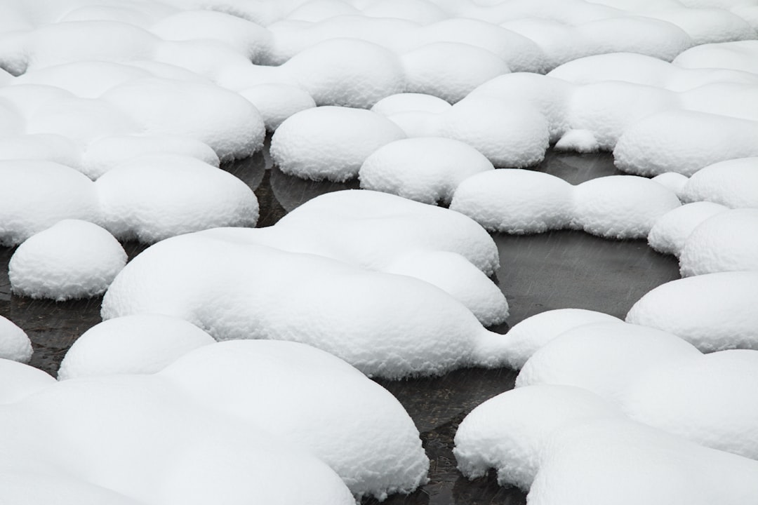 Insulation during winter