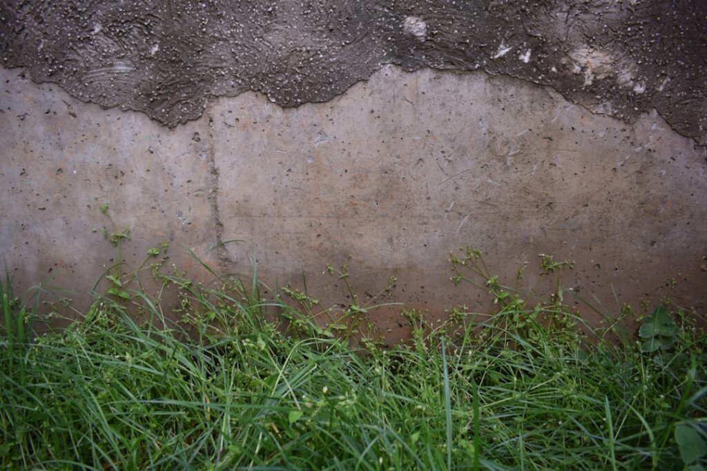 Detailed, close-up shot of a crack running through a home's concrete foundation, with the surrounding Louisiana soil visib...