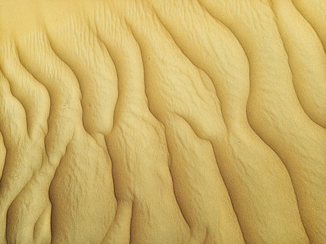 A detailed close-up shot of cured spray foam insulation, highlighting its dense, cellular structure that acts as a fire-resistant barrier.