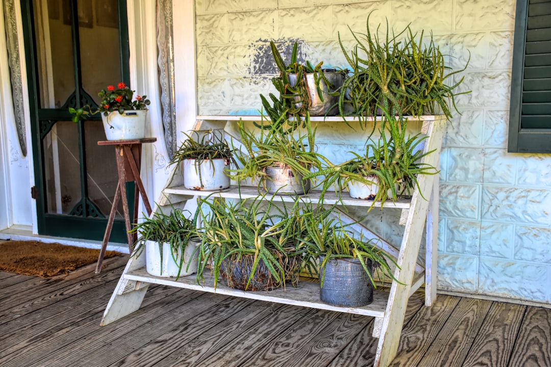 The front porch of a classic southern home on a hazy, humid summer day, representing the oppressive climate Baton Rouge homeowners face.