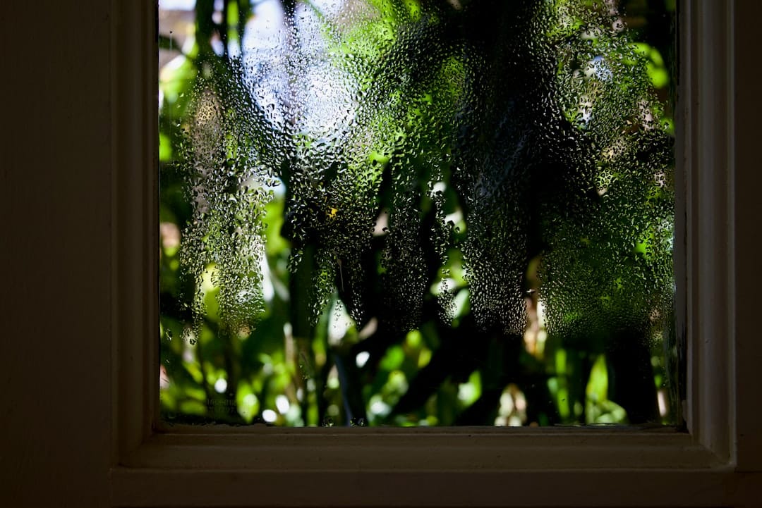 Condensation forming on the inside of a window looking out at lush, green foliage, showing the effects of high indoor humidity.